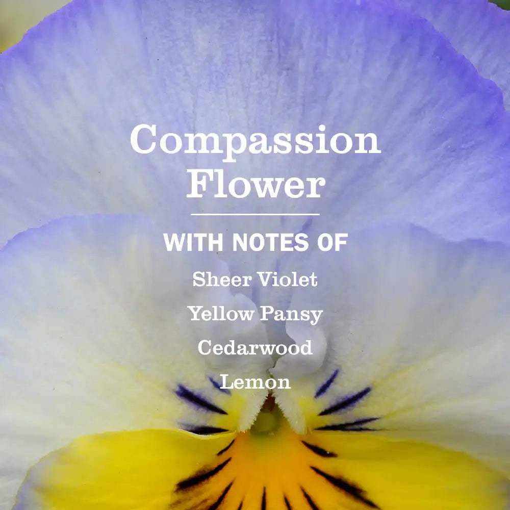 Compassion Flower Plug In Scented Oil Refill, 2-Pack