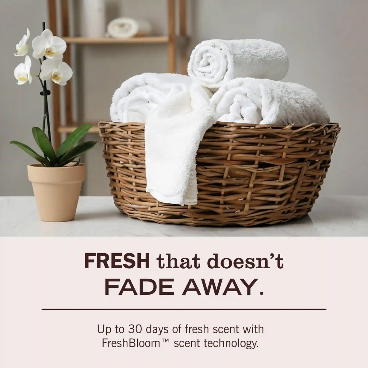 Lemon Verbena Laundry Detergent