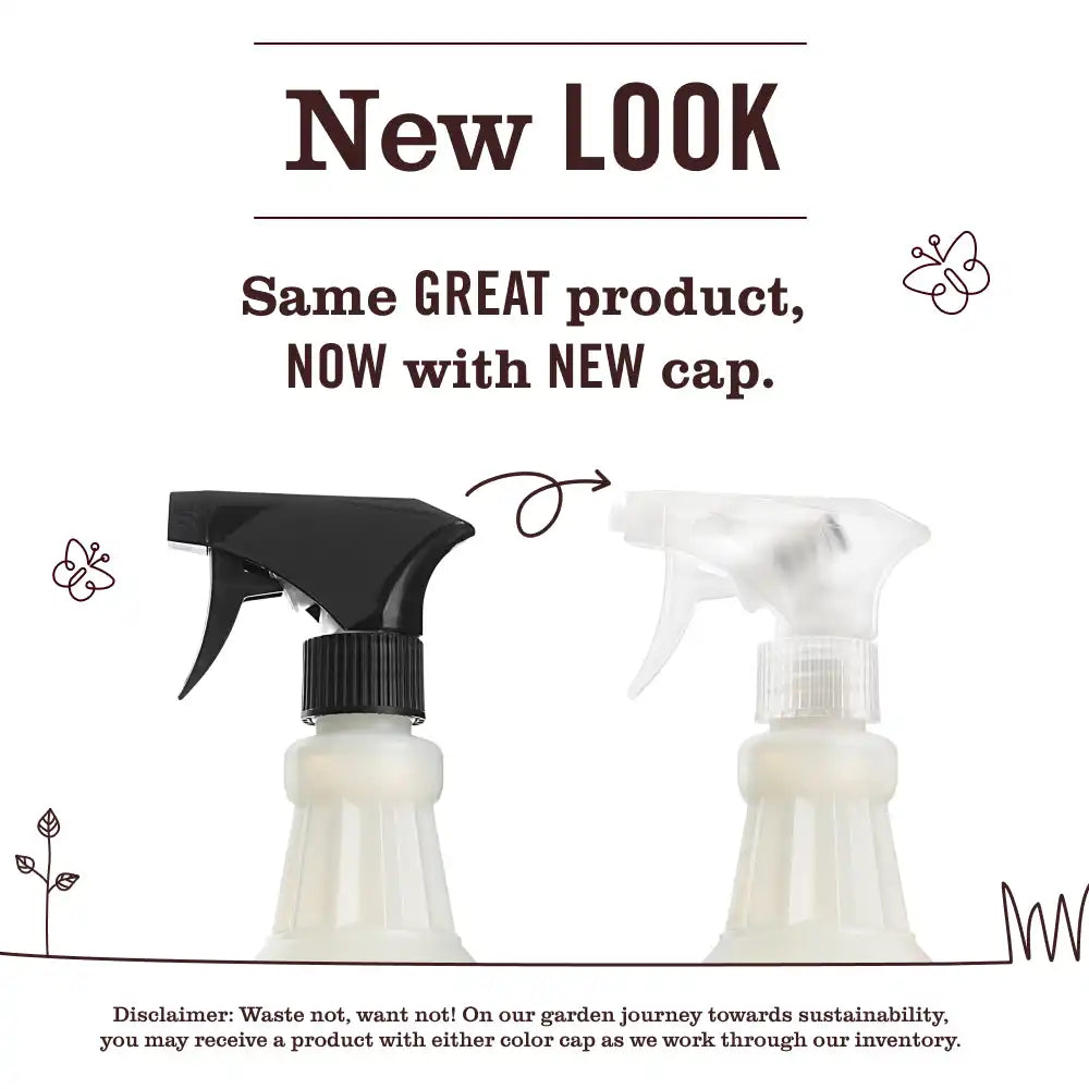 Lilac Multi-Surface Everyday Cleaner