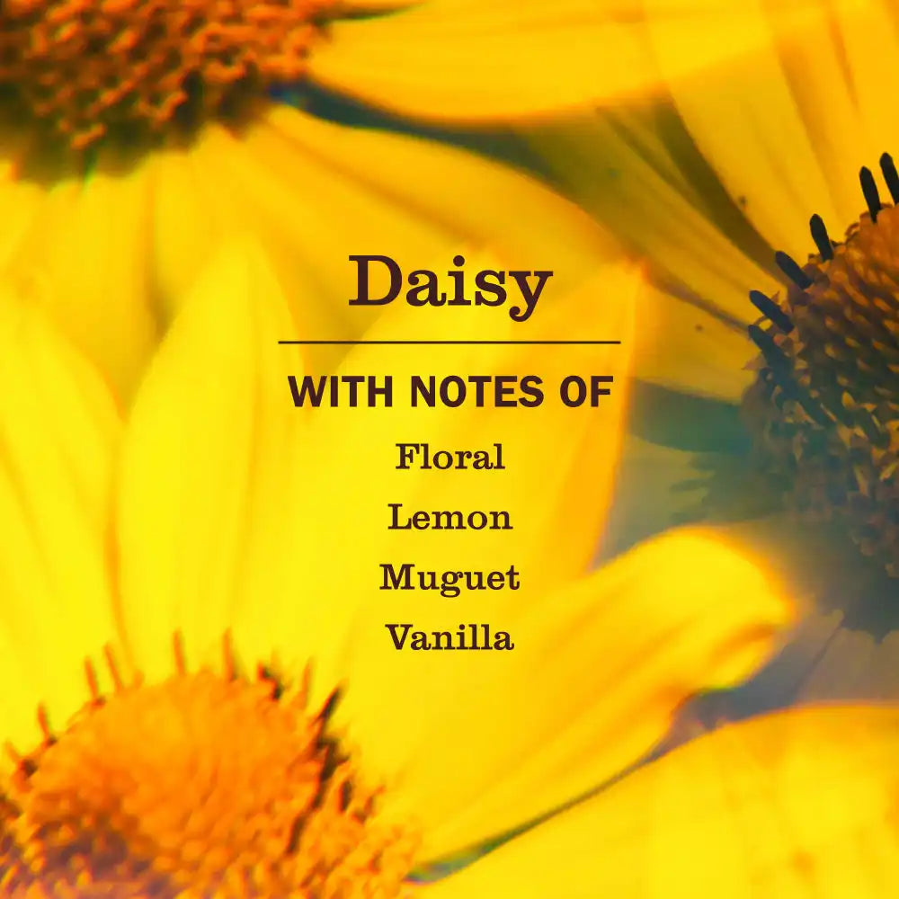 Daisy Kitchen Basics Set